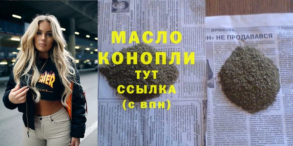 молекула духа Надым