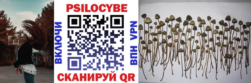 Псилоцибиновые грибы мицелий Исилькуль